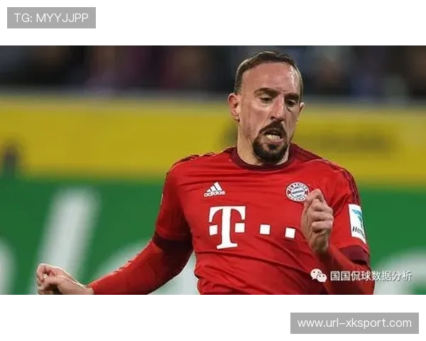 德甲资源垄断分析：拜仁多特领跑下的中小球队投入策略